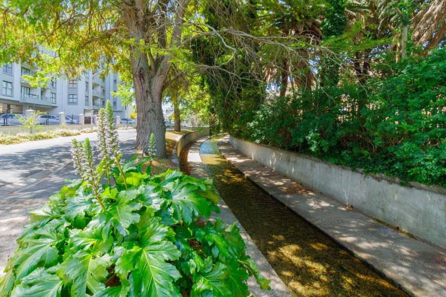 To Let 2 Bedroom Property for Rent in Rondebosch Western Cape